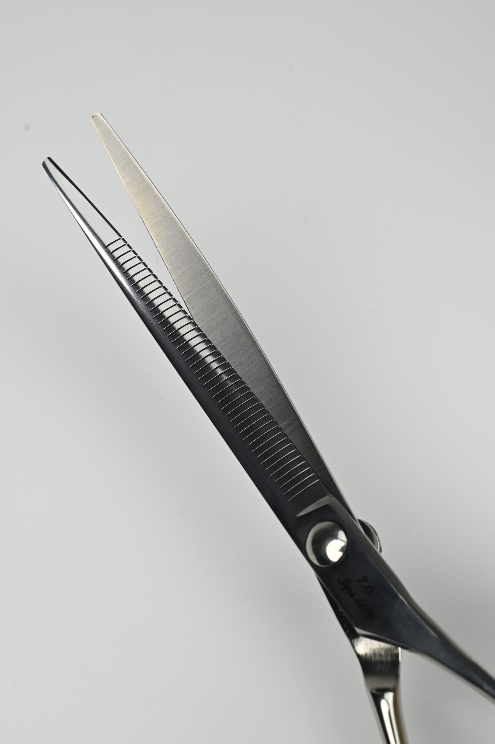 Pupelle Trace - Image 6