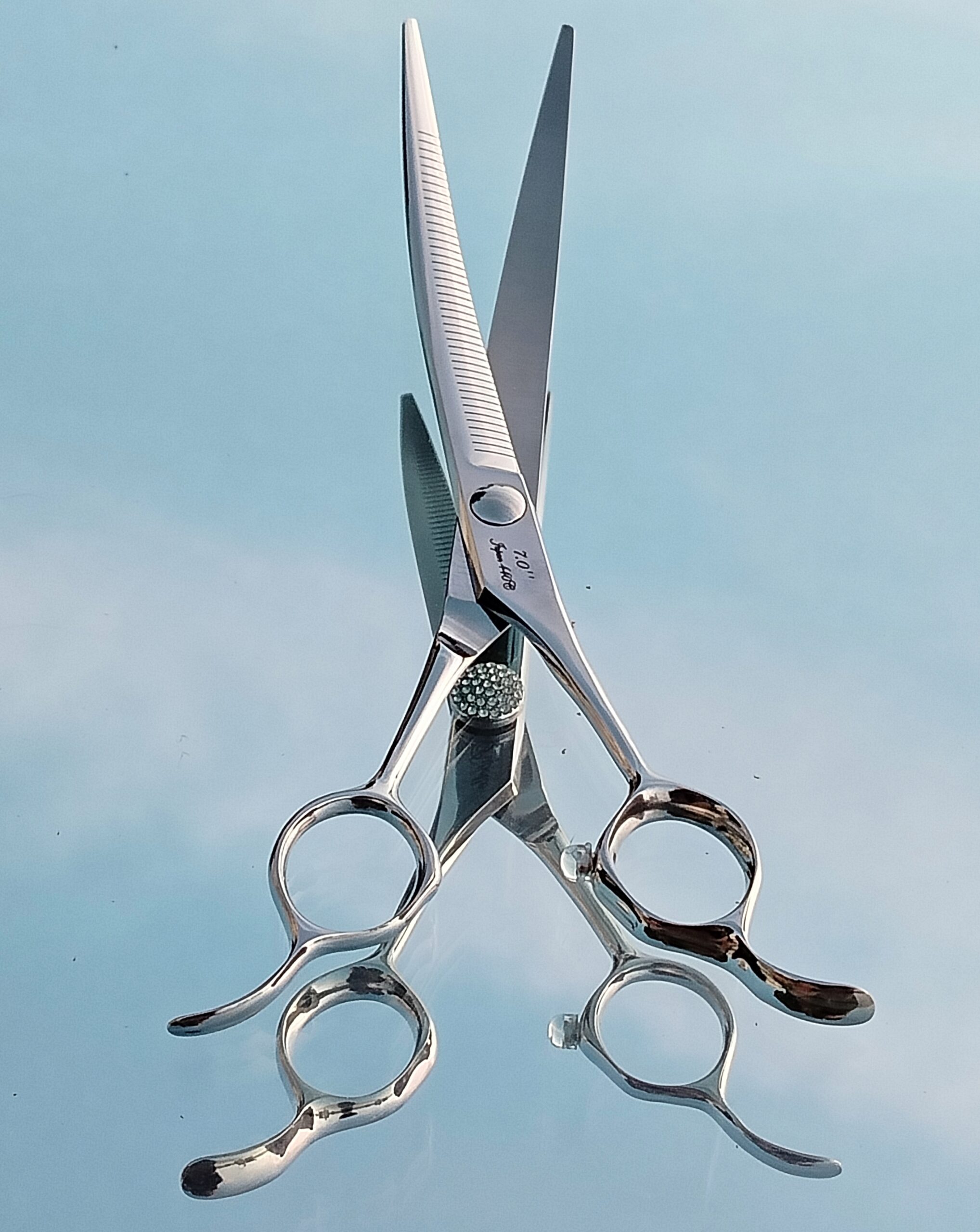 Pupelle Trace - Image 4